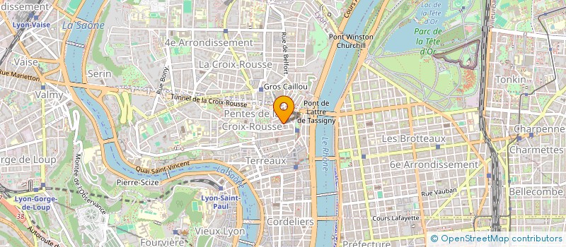 localisation de l'entreprise ALPHA PEG à LYON