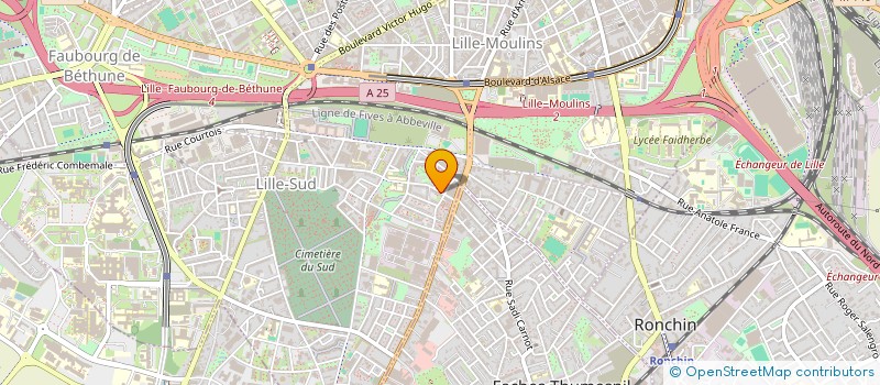 localisation de l'entreprise ALPHORICA CONSULTING à LILLE