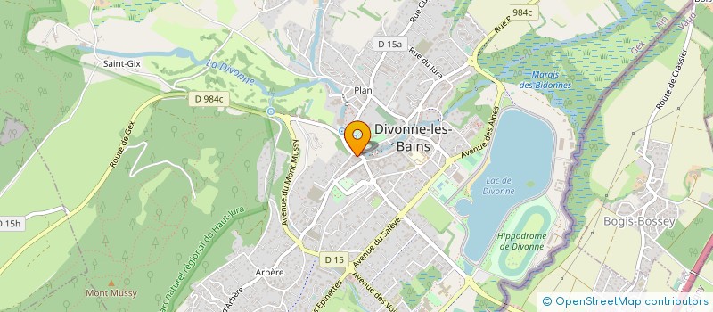 localisation de l'entreprise ALPIN à DIVONNE-LES-BAINS