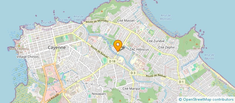 localisation de l'entreprise ALPINIA 703  CAYENNE