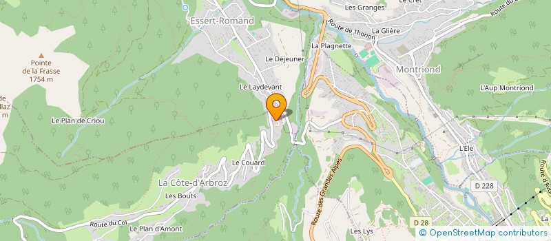 localisation de l'entreprise ALPS INVESTMENTS à MORZINE