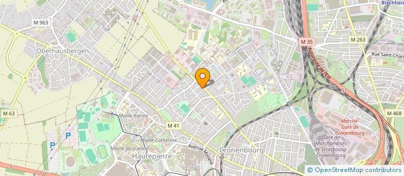 localisation de l'entreprise ALSA PRO à STRASBOURG