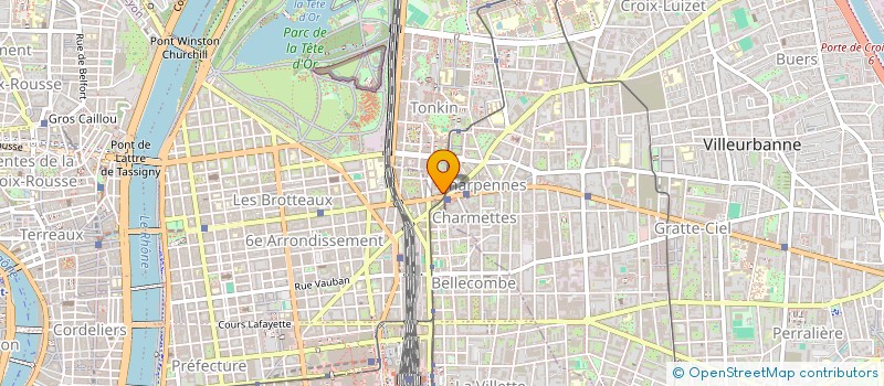 localisation de l'entreprise ALTA SKYE  VILLEURBANNE