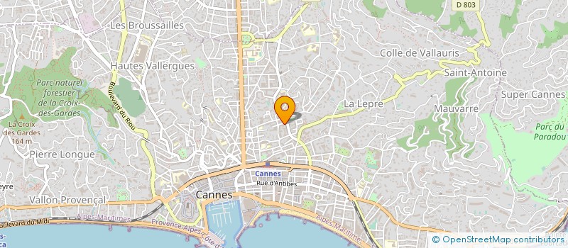 localisation de l'entreprise ALTAIR  CANNES