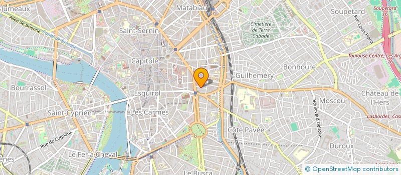 localisation de l'entreprise ALTAMIND à TOULOUSE