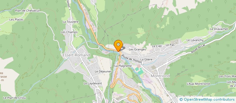 localisation de l'entreprise ALTEA CONSTRUCTEURS  MONTRIOND