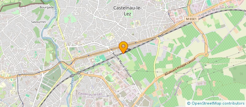 localisation de l'entreprise ALTER BRASIL à CASTELNAU-LE-LEZ