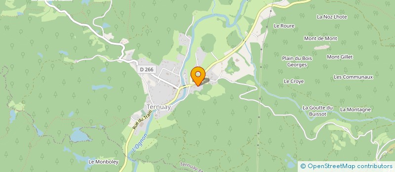 localisation de l'entreprise ALTER NATIVE  TERNUAY-MELAY-ET-SAINT-HILAIRE