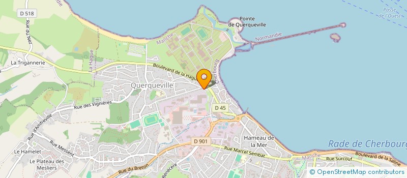 localisation de l'entreprise ALTERNANCIA BDE CHERBOURG  CHERBOURG-EN-COTENTIN