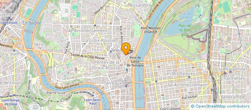 localisation de l'entreprise ALTERNET à LYON