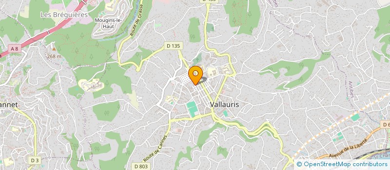 localisation de l'entreprise ALTEX CONSULTANTS  VALLAURIS