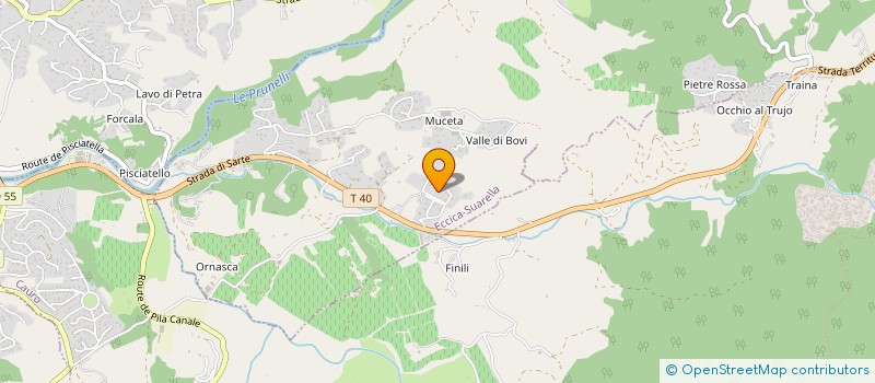 localisation de l'entreprise ALTICORNE  ECCICA-SUARELLA