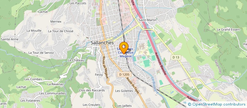 localisation de l'entreprise ALTINEL-IMMO à SALLANCHES
