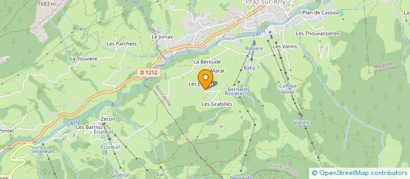 localisation de l'entreprise ALTIPIC  PRAZ-SUR-ARLY