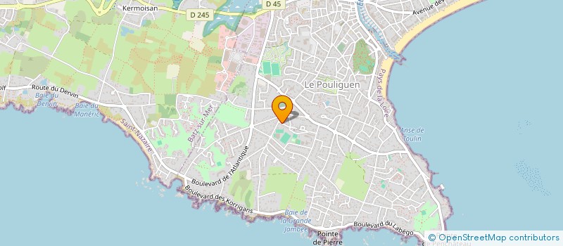 localisation de l'entreprise ALTITUDE 3V  LE POULIGUEN