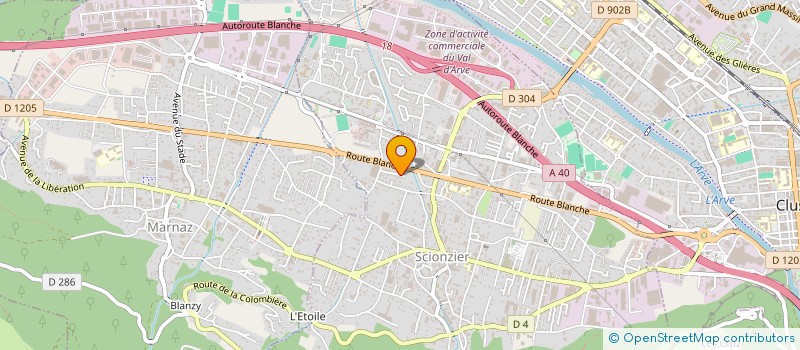 localisation de l'entreprise ALTITUDE  SCIONZIER