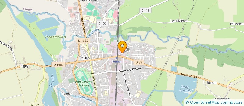 localisation de l'entreprise ALTSEON  FEURS