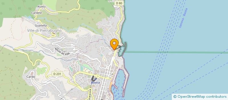 localisation de l'entreprise ALTUS CONSULTANTS CORSE à BASTIA