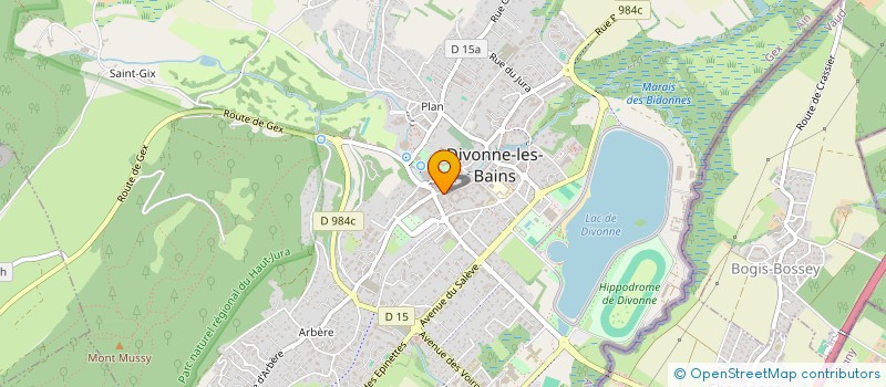 localisation de l'entreprise ALVE'ART à DIVONNE-LES-BAINS