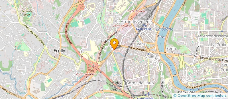 localisation de l'entreprise ALVEOLES  LYON