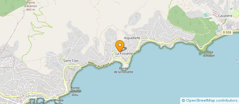localisation de l'entreprise ALZATEA D'ARCANGUES  LE LAVANDOU