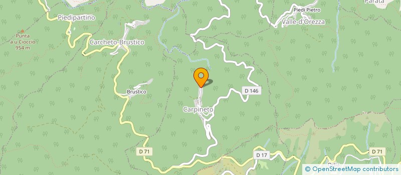 localisation de l'entreprise ALZU VIVU à PIEDIPARTINO