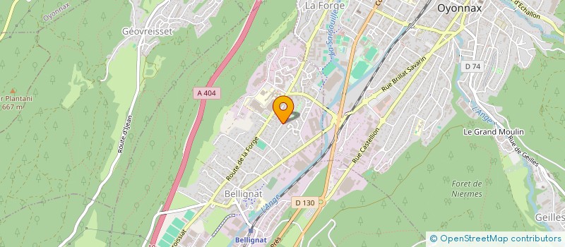 localisation de l'entreprise AM CONSEIL à BELLIGNAT