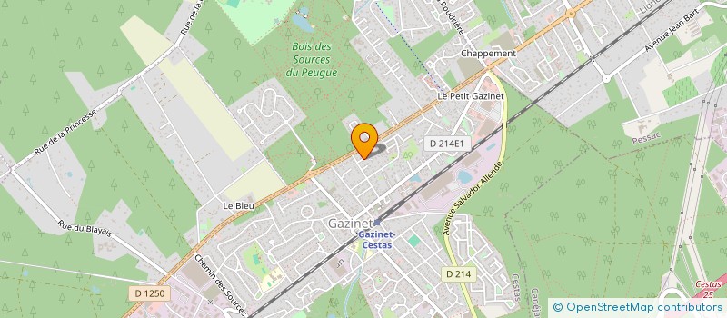 localisation de l'entreprise AMALIZA  CESTAS