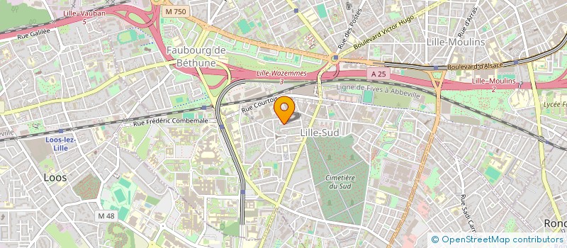localisation de l'entreprise AMANEIS à LILLE