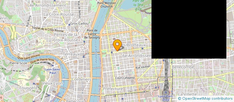 localisation de l'entreprise AMARILLO FLOWER  LYON