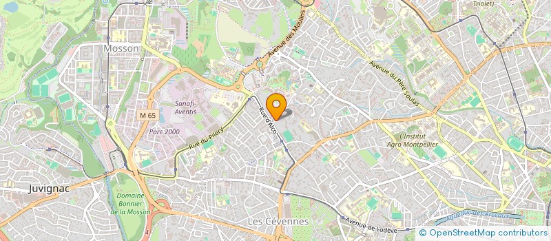 localisation de l'entreprise AMAZONAS à MONTPELLIER