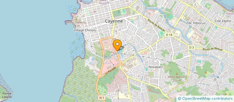 localisation de l'entreprise AMAZONE SAVEURS  CAYENNE