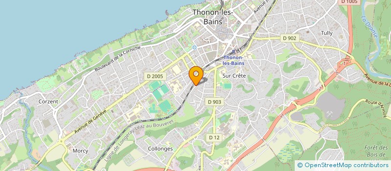 localisation de l'entreprise AMB PEINTURES à THONON-LES-BAINS