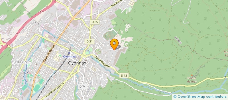 localisation de l'entreprise AMBARO PATRIMOINE à OYONNAX