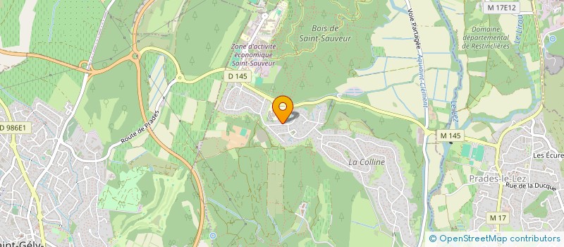 localisation de l'entreprise AMBITION JARDIN ET MERIS  SAINT-CLEMENT-DE-RIVIERE