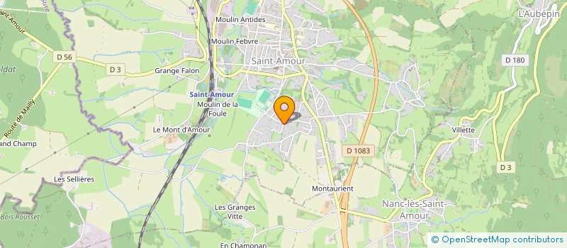 localisation de l'entreprise AMBULANCES TAXIS DOMINIQUE BERTHET  SAINT-AMOUR