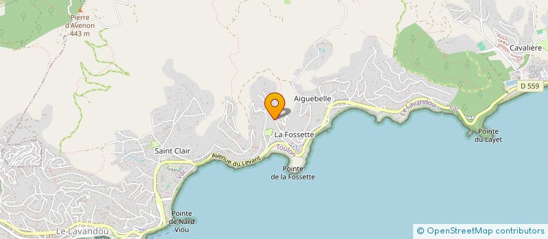 localisation de l'entreprise AMC à LE LAVANDOU