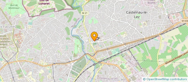 localisation de l'entreprise AMC DIFFUSION à CASTELNAU-LE-LEZ