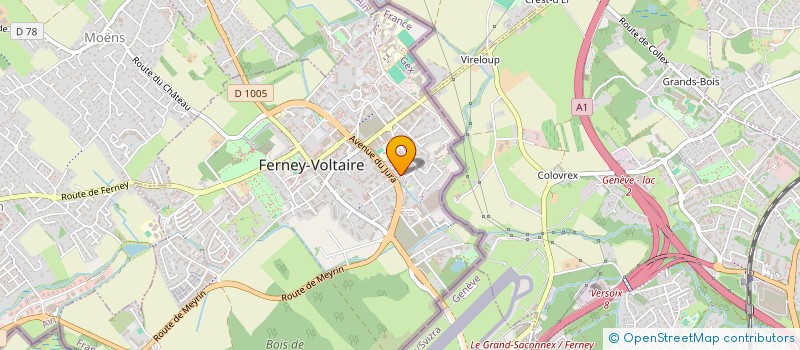 localisation de l'entreprise AMC PATRIMOINE à FERNEY-VOLTAIRE