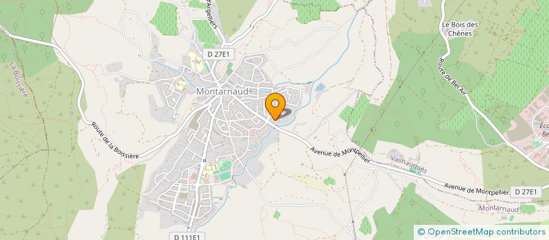 localisation de l'entreprise AMEIS  MONTARNAUD