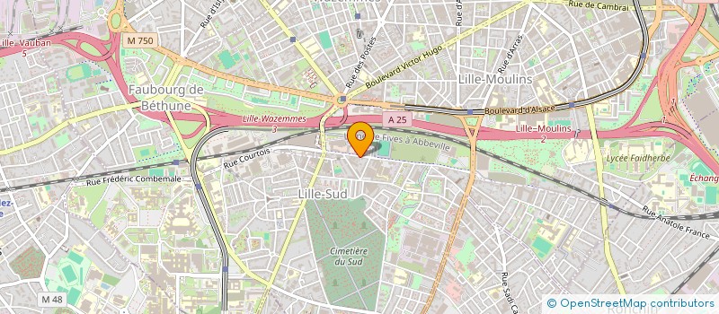 localisation de l'entreprise AMELIA à LILLE
