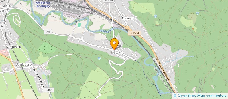 localisation de l'entreprise AMELIE VTC 01  BETTANT