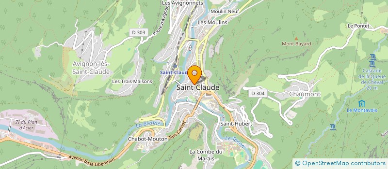 localisation de l'entreprise AMELLIS SERVICES à SAINT-CLAUDE