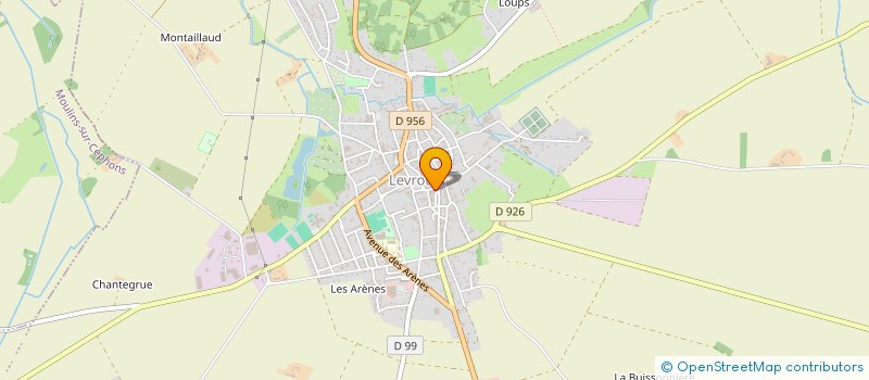 localisation de l'entreprise AMELY FLEURS à LEVROUX