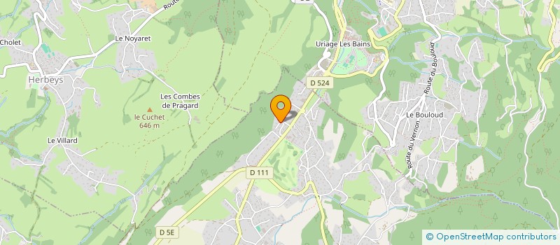 localisation de l'entreprise AMERSON CONSULTING FRANCE  SAINT MARTIN D'URIAGE