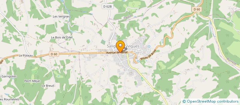 localisation de l'entreprise AMG CONSEILS  SARLAT-LA-CANEDA