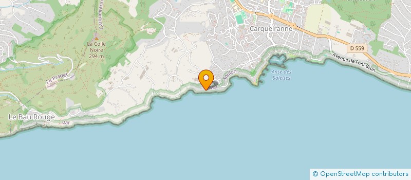 localisation de l'entreprise AMG INT ET OU MONOD GAUVIN INT à CARQUEIRANNE