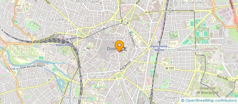 localisation de l'entreprise AMI à DIJON