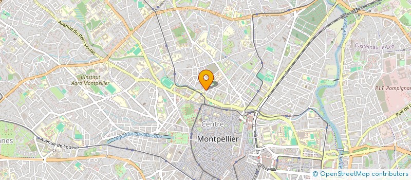localisation de l'entreprise AMI CHIEN à MONTPELLIER