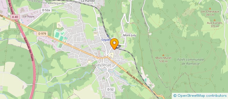 localisation de l'entreprise AMICALE DE LA MARCELIERE à CEYZERIAT